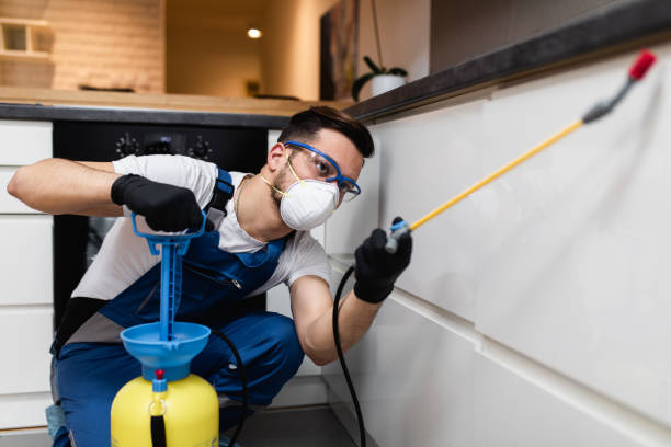 Best Flea Control Services  in Haskins, OH