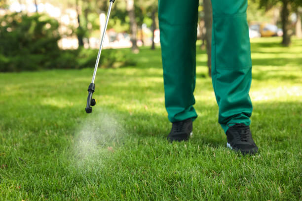 Best Exterminator Services  in Haskins, OH