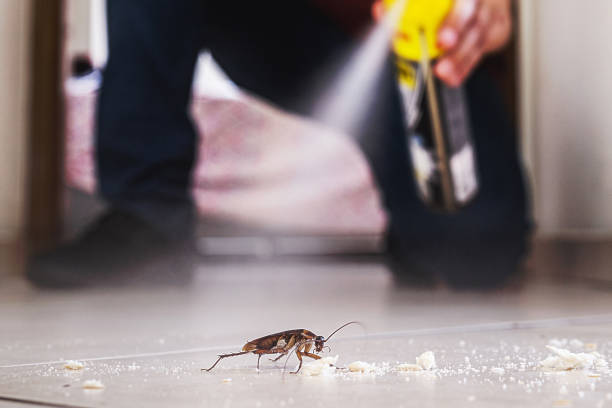 Reliable Haskins, OH Pest Control Solutions